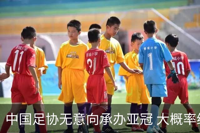 中国足协无意向承办亚冠 大概率继续在卡塔尔踢